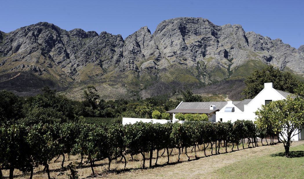 South Africa's world-famous vineyards lead the continent in wine production, but other African nations are making inroads in the wine industry.