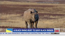 nr lavandera black rhino hunt_00000818.jpg