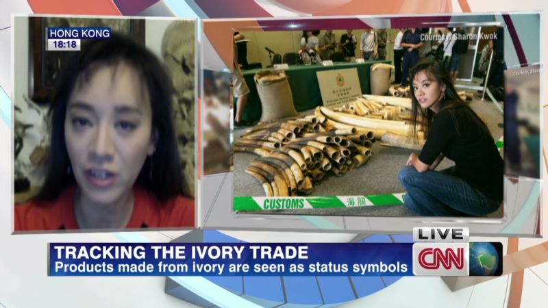 Activist Battles Illegal Ivory Trade CNN   140111061047 Fighting Illegal Ivory Trade China Sharon Kwok 00015304 