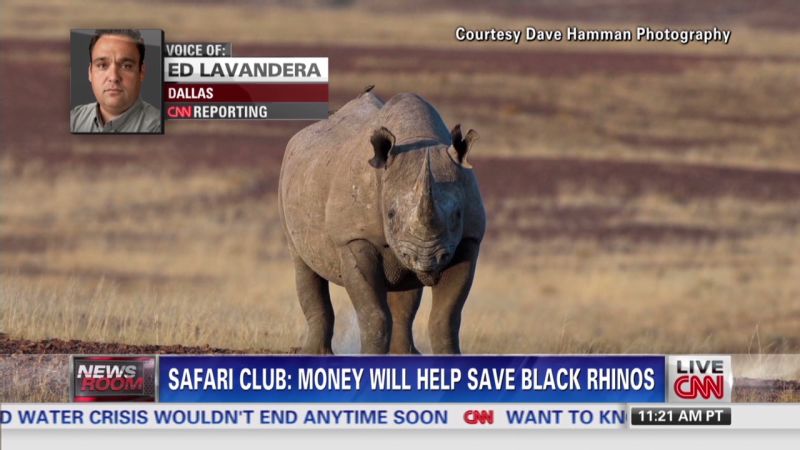 Black Rhino Hunting Permit Sells For $350k | CNN