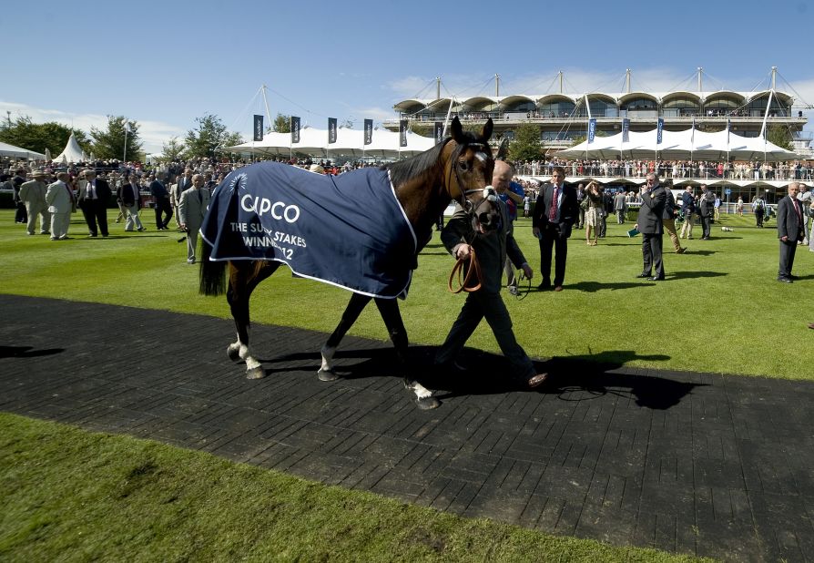Frankel is covered by a QIPCO-branded horse blanket after winning the Sussex Stakes at Glorious Goodwood in 2012. 