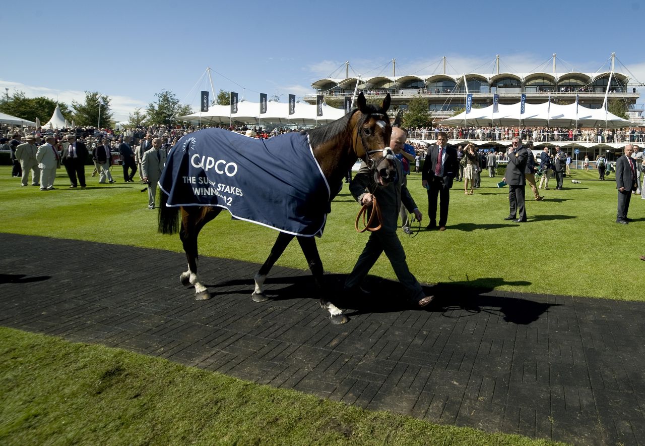 Frankel is covered by a QIPCO-branded horse blanket after winning the Sussex Stakes at Glorious Goodwood in 2012.