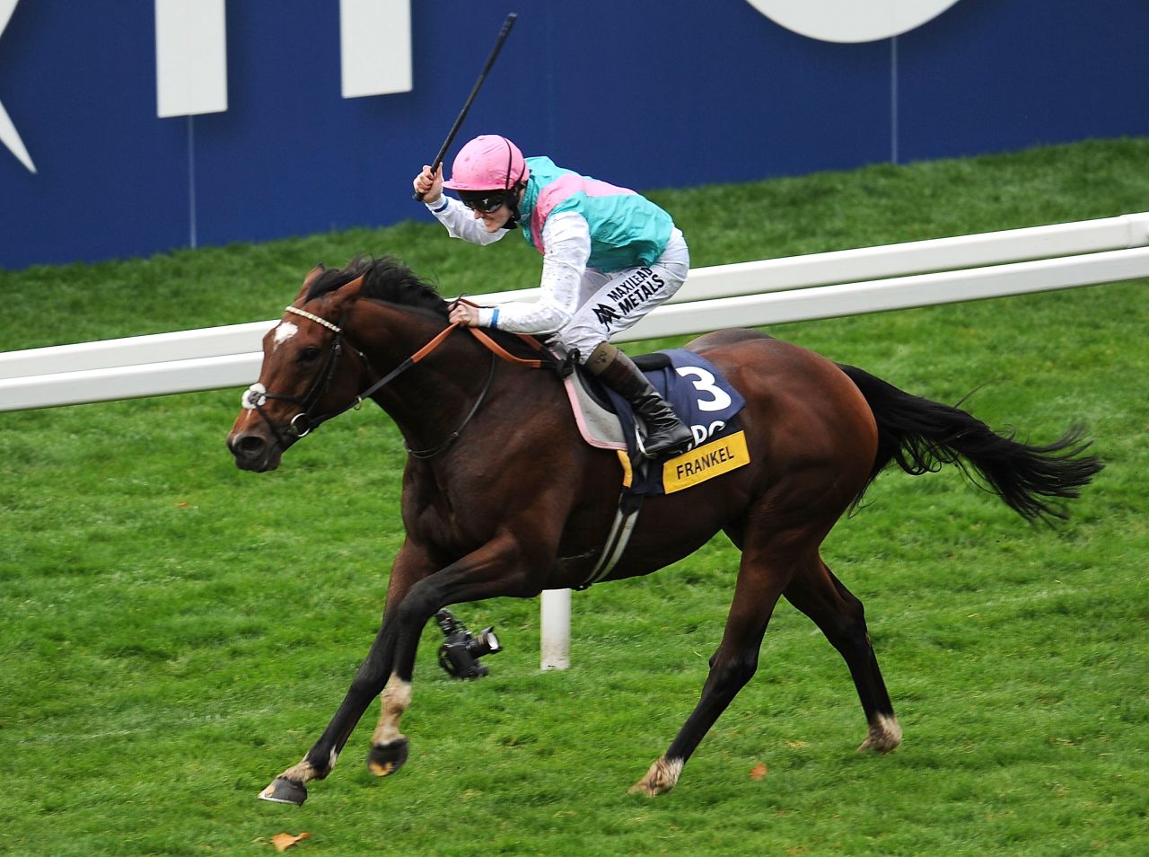 Tom Queally partners Frankel to victory in the unbeaten wonder horse's final race in the Champions Stakes, sponsored by QIPCO, at Ascot in October 2012.