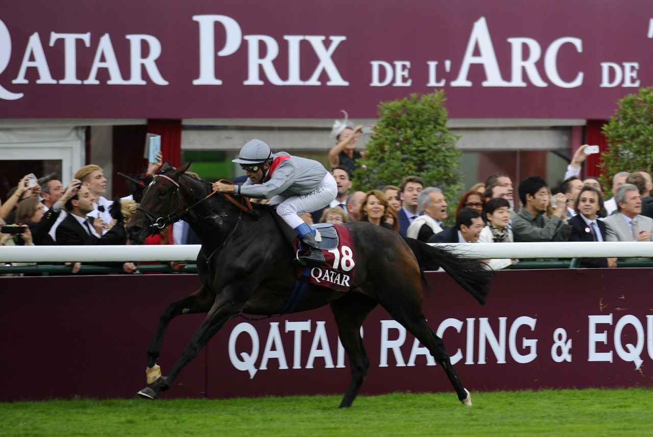Winning double? Qatari-owned Treve wins the 2013 Prix de l'Arc de Triomphe at Longchamp, which will be sponsored by the Qatar Racing and Equestrian Club until 2022. 