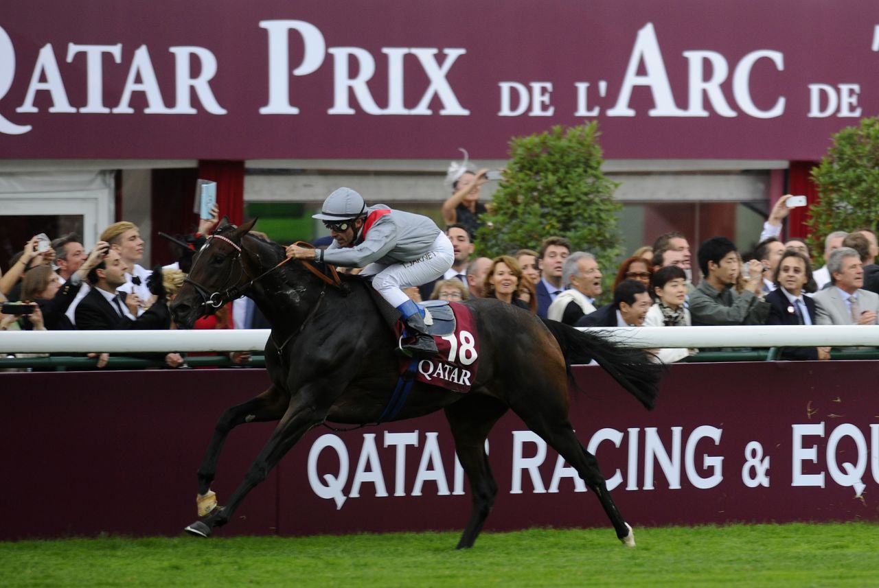 Winning double? Qatari-owned Treve wins the 2013 Prix de l'Arc de Triomphe at Longchamp, which will be sponsored by the Qatar Racing and Equestrian Club until 2022.