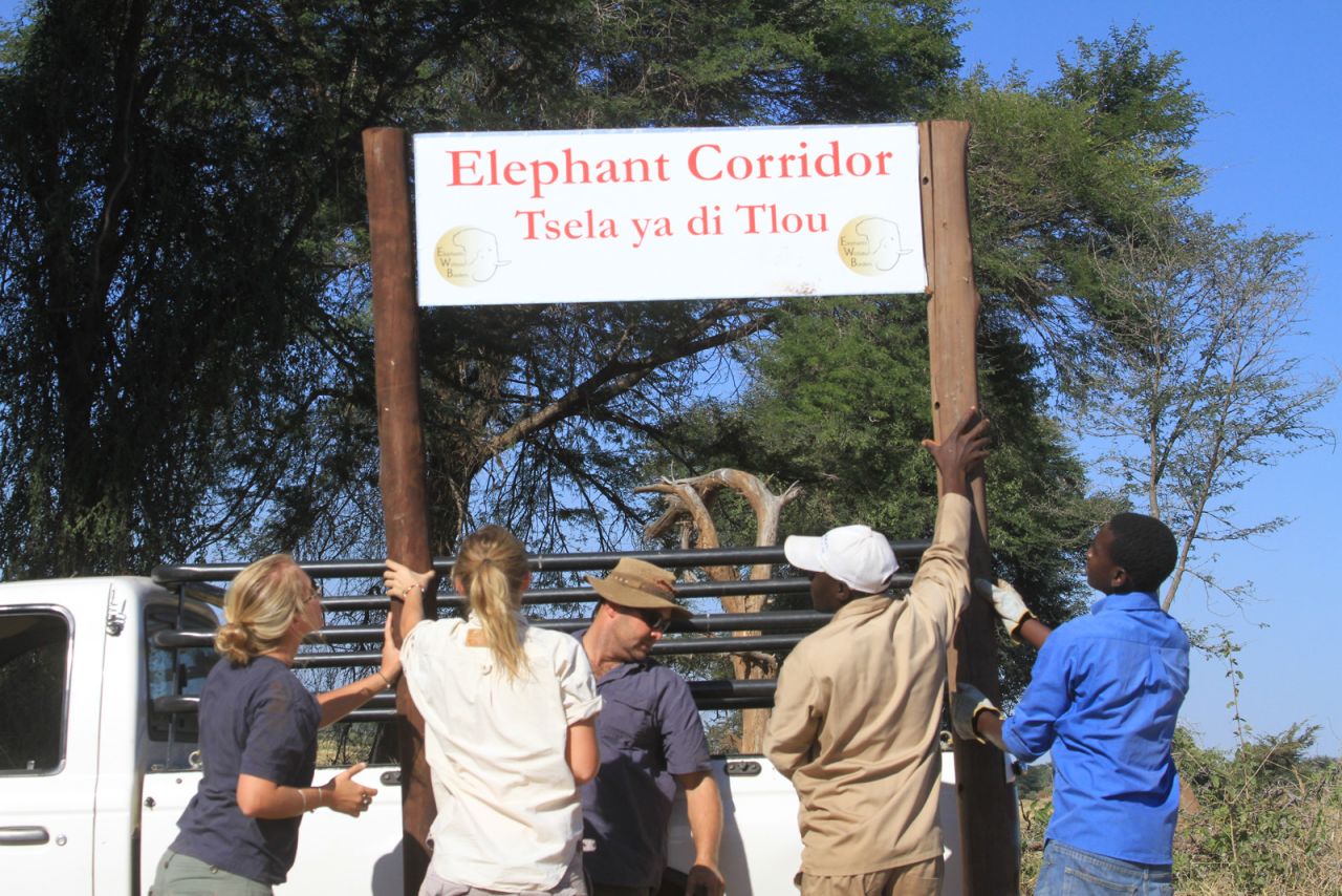The overall plan of EWB is to have designated wildlife corridors in legislation, so as towns grow there are set paths for elephants to use and ultimately lessen the impact of their growing numbers.