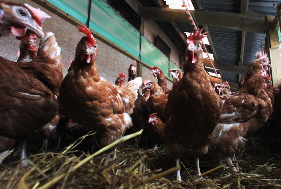 <strong>December 11, 2013:</strong> The FDA <a href="http://www.cnn.com/2013/12/11/health/fda-antibiotics-farms/">announces</a> it wants to phase out the use of certain antibiotics in food-producing animals.