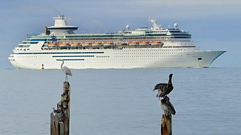 Royal Caribbean's Majesty of the Seas arrives November 26, 2009 in Key West, Florida. AFP PHOTO/Karen BLEIER (Photo credit should read KAREN BLEIER/AFP/Getty Images)