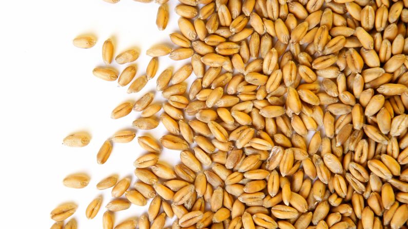 <strong>Wheat berries</strong><br /><br />Move over, quinoa. Wheat berries, which are whole-wheat kernels, contain one of the highest amounts of protein and fiber per serving of any grain -- 6 grams of protein and 6 grams of fiber. "Protein triggers the hormone ghrelin to tell our brain that we are satisfied," Roberts explains, "and fiber activates appetite-suppressing gut hormones."<br /><br /><strong>Feel even fuller:</strong> Do what celeb chef Ellie Krieger does: Toss wheat berries with apples, nuts and other diet-friendly foods to make a super tasty salad.<br /><br /><a href="index.php?page=&url=http%3A%2F%2Fwww.health.com%2Fhealth%2Fgallery%2F0%2C%2C20486997%2C00.html" target="_blank" target="_blank">Health.com: How berries prevent aging</a> 