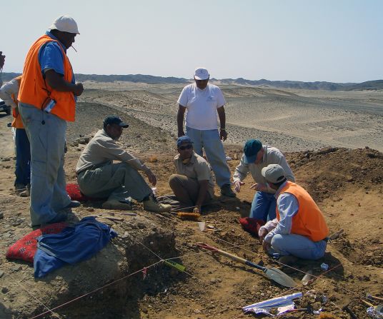 Kear, quien ya ha excavado en la región antes, dice que estaba siguiendo una pista de geólogos de petróleo que se encontraron con una acumulación de fósiles de reptiles marinos gigantes.