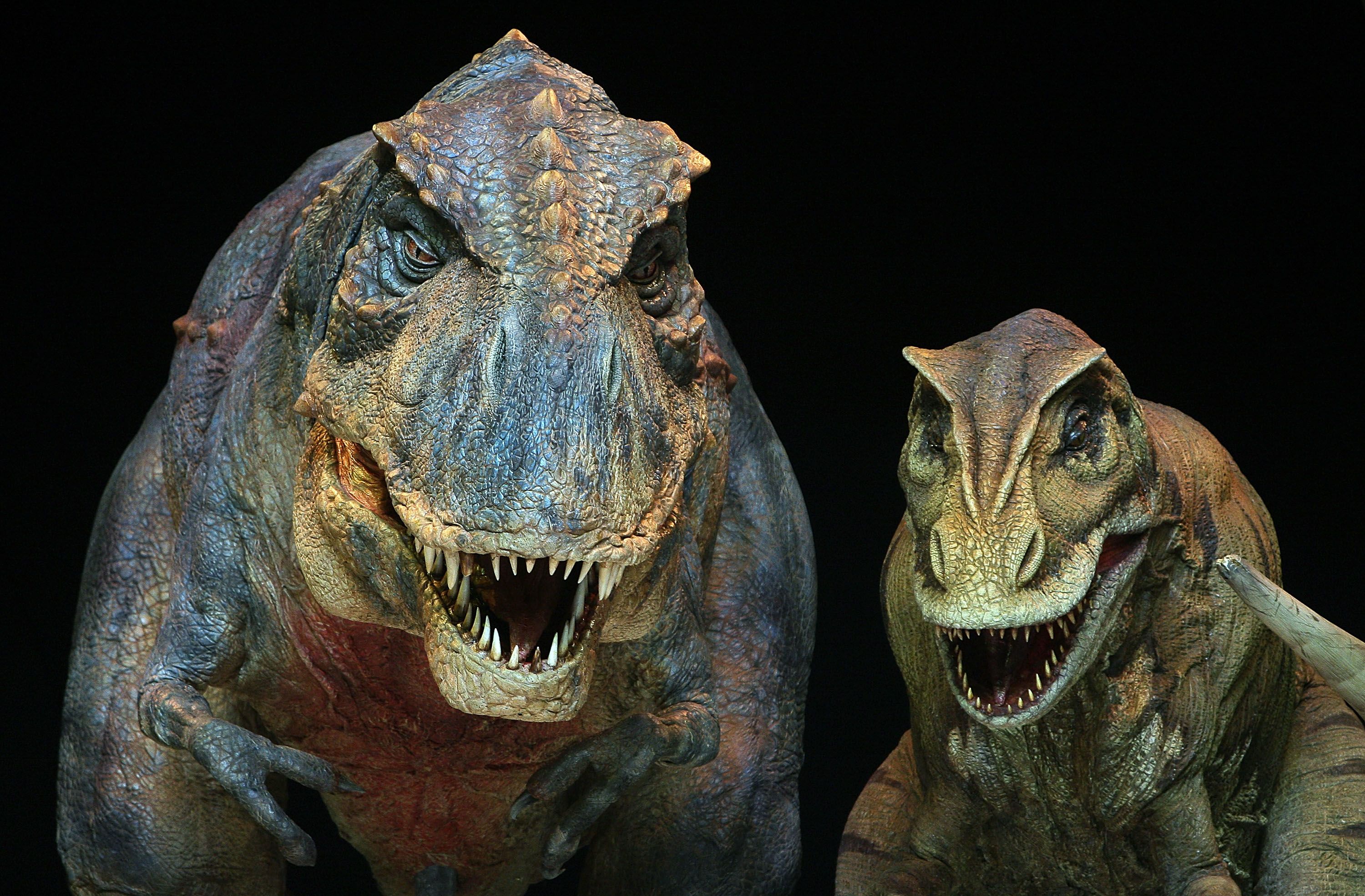 first dinosaur fossil found
