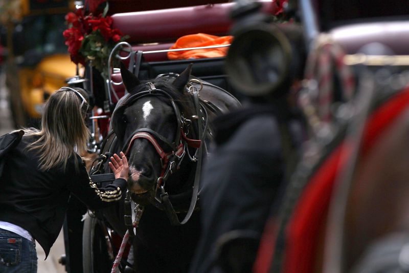 Deal may keep horse-drawn carriages in New York | CNN