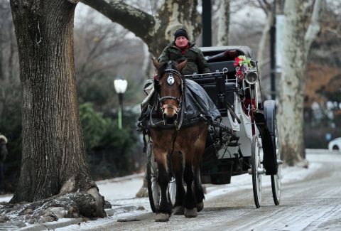 A horse pulls a carriage down a snow-dusted street in Central Park in January 2014.