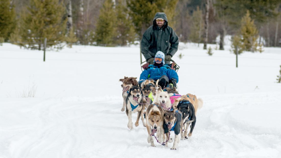 Cheer on the competitors at this qualifying race for the Alaskan Iditarod.