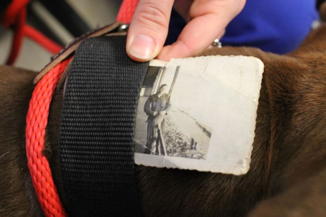 Una vieja fotografía en blanco y negro fue encontrada escondida dentro del collar de un perro extraviado en Carolina del Sur.