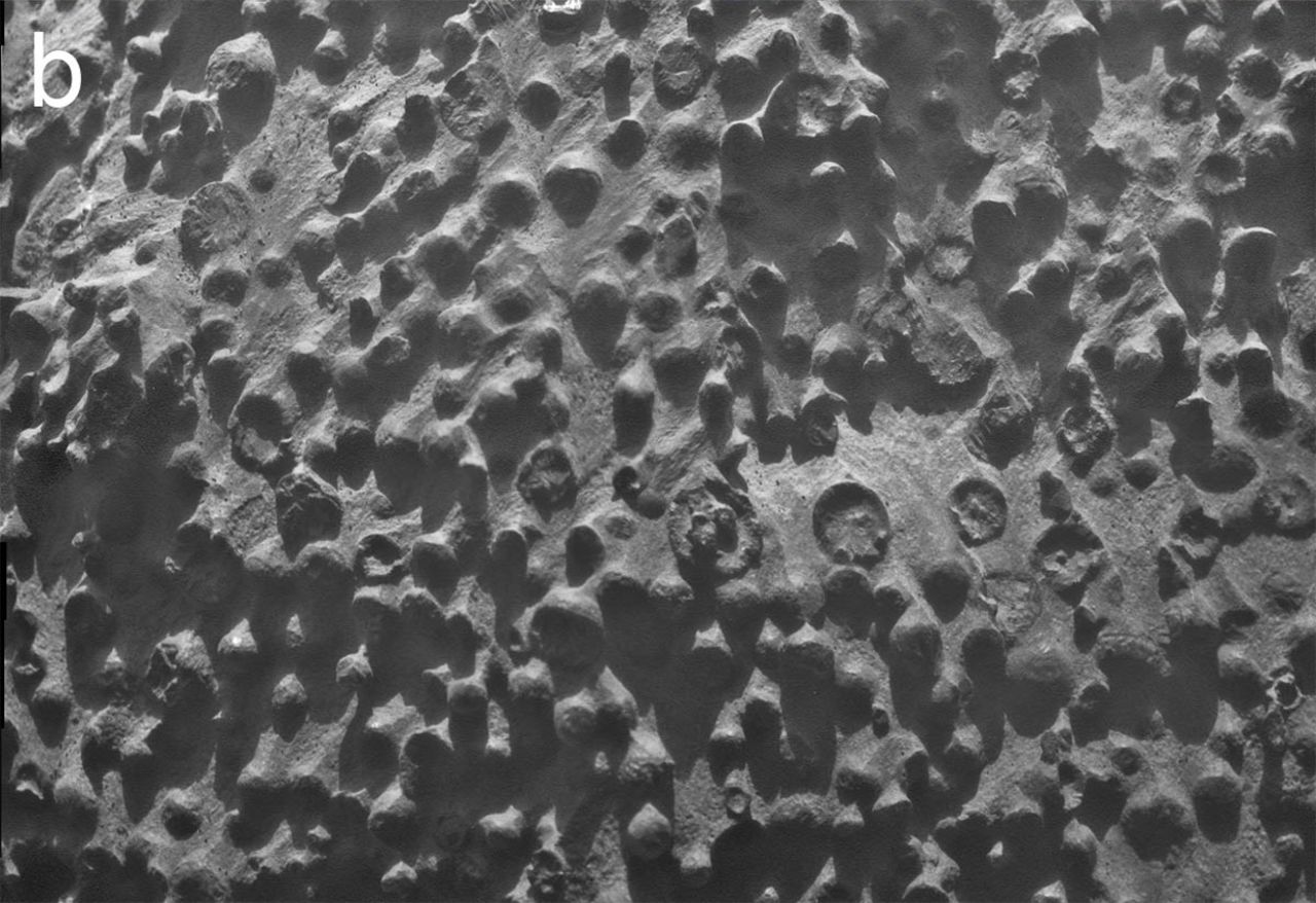 Another interesting formation that Opportunity has discovered is at an outcrop called Kirkwood. This image shows spherical objects that are as much as one-eighth of an inch in diameter. 