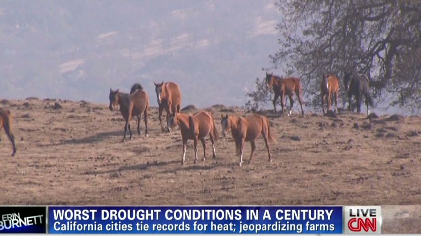erin dnt lah california drought hurting horses_00001610.jpg