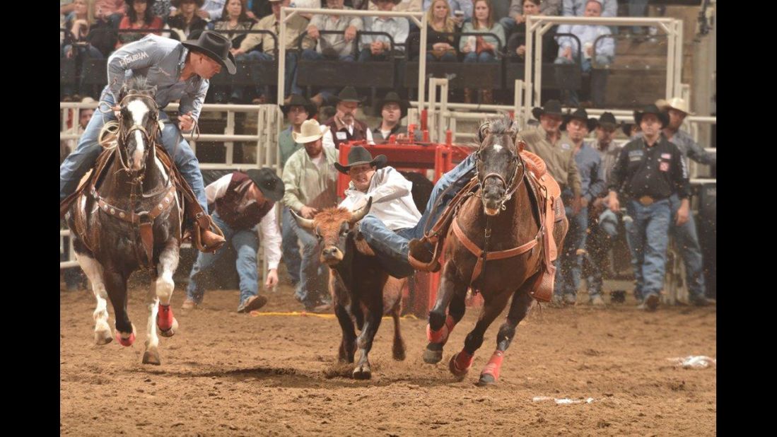 Over the cold winter? Head to San Antonio for the horse and livestock shows and rodeo performances.