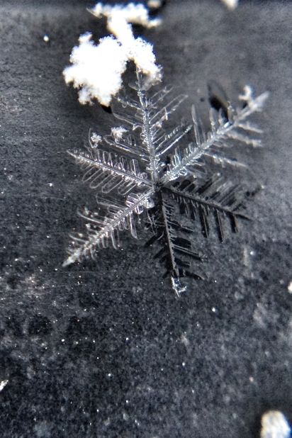 Goodman used his iPhone 5s and a macrolens attachment to photograph these delicate snowflakes.