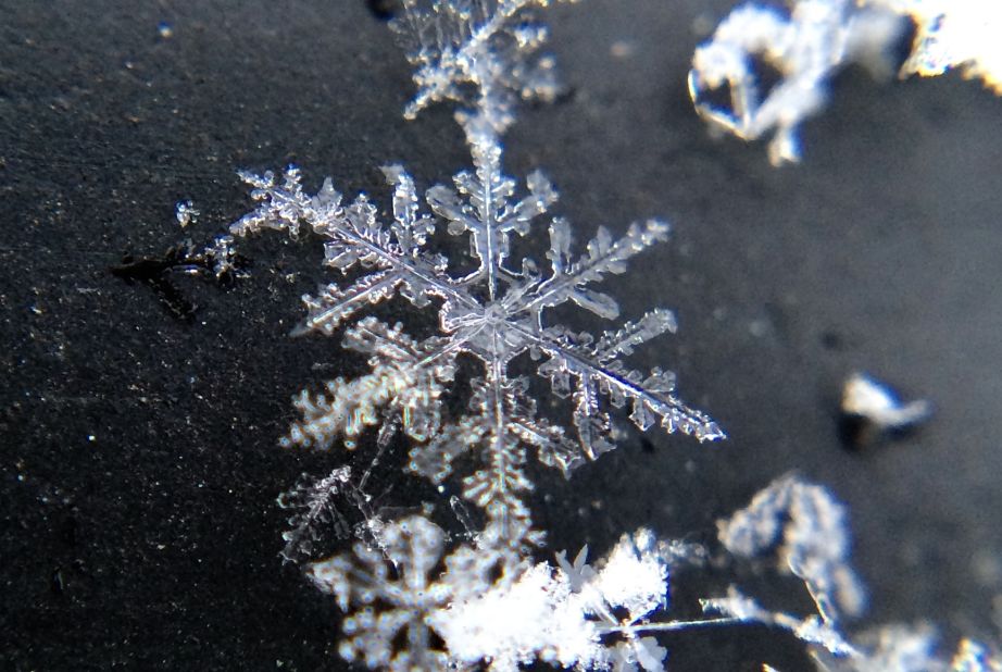 "It's been awe-inspiring to find such beauty in the tiny details that mother nature can produce in the midst of an arctic invasion," Goodman said.