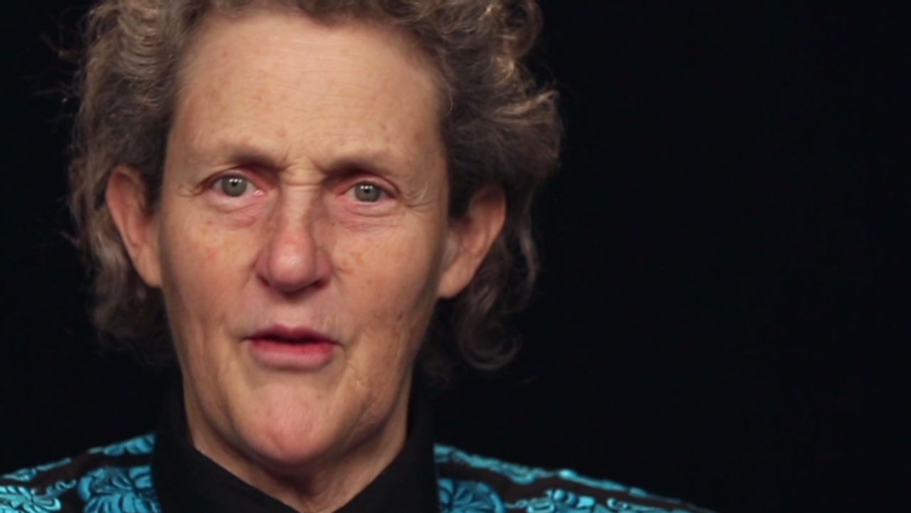 temple grandin red chair orig_00012820.jpg