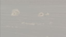 dnt ohio snow rollers appear_00000422.jpg