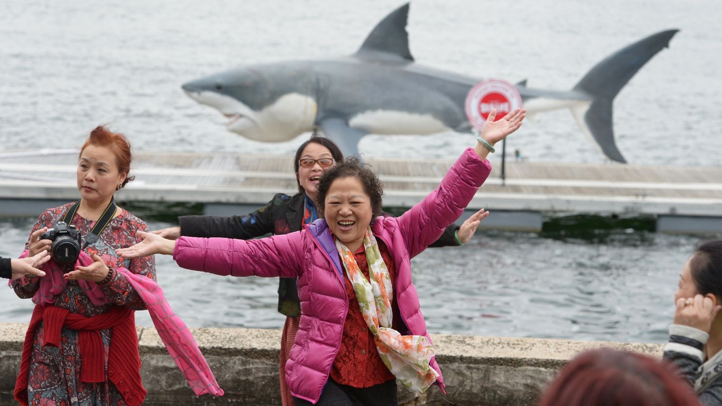 Chinese tourists pose for photographs as a gigantic Great White Shark replica "floats" into Sydney's harbor in November 2013.