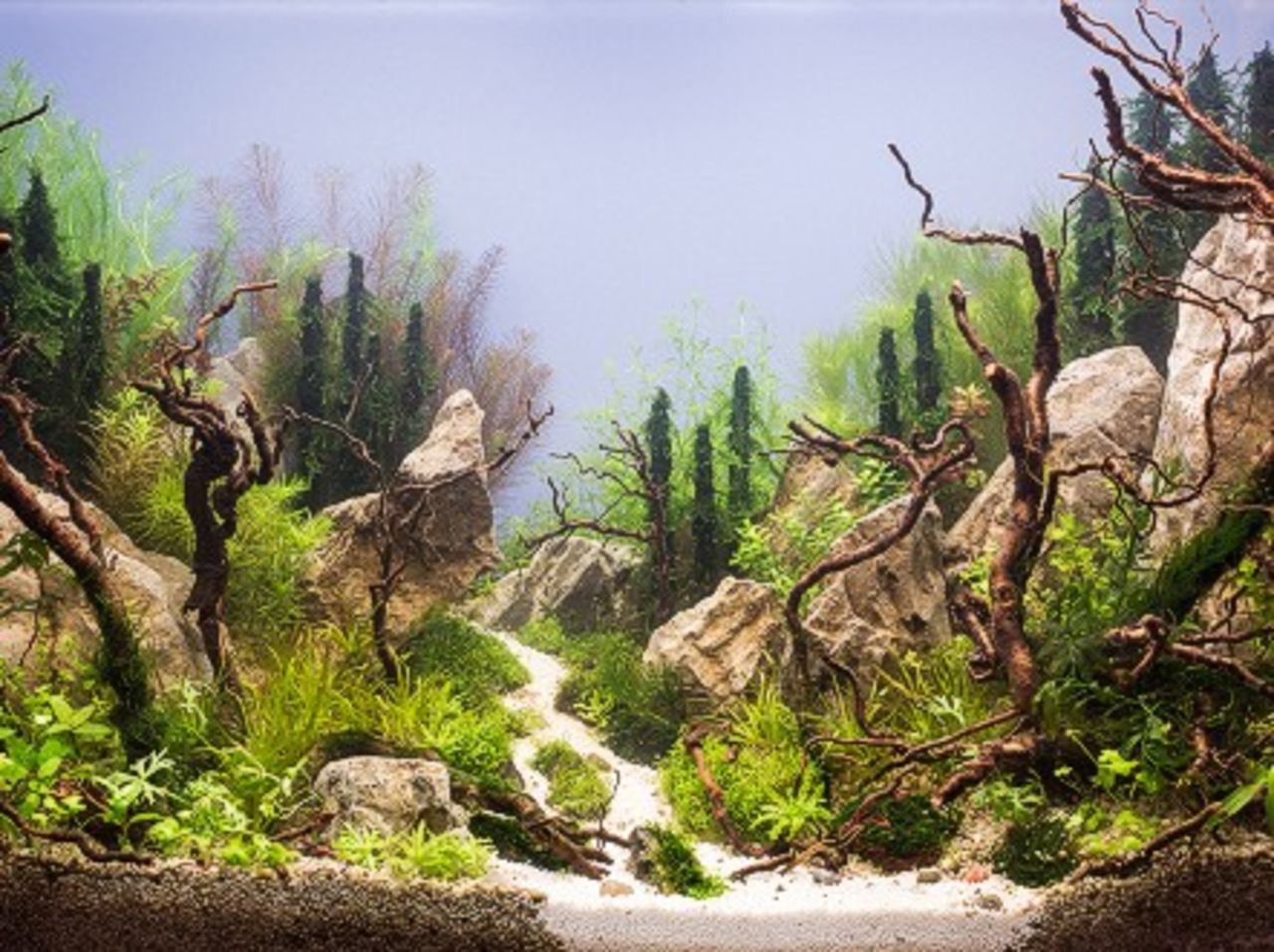 It is hard to believe that this wild landscape is inside an aquarium made by a particularly skillful Russian aquascaper. - (Courtesy all4aquarium.ru)