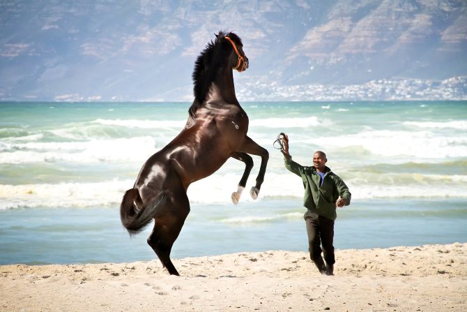 Snaith also set a new national record for most wins in a day, taking out an unprecedented seven successes at Fairview Racecourse in Port Elizabeth.