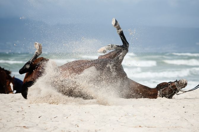 "A happy horse is a good horse," Snaith says. 