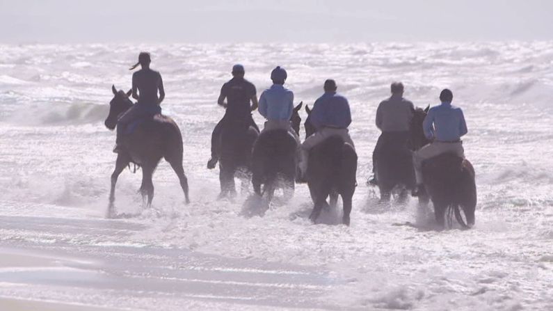 It's all about giving the horses what they need, he says, whether it's splashing around in the waves or pottering around in paddocks with their mates. 