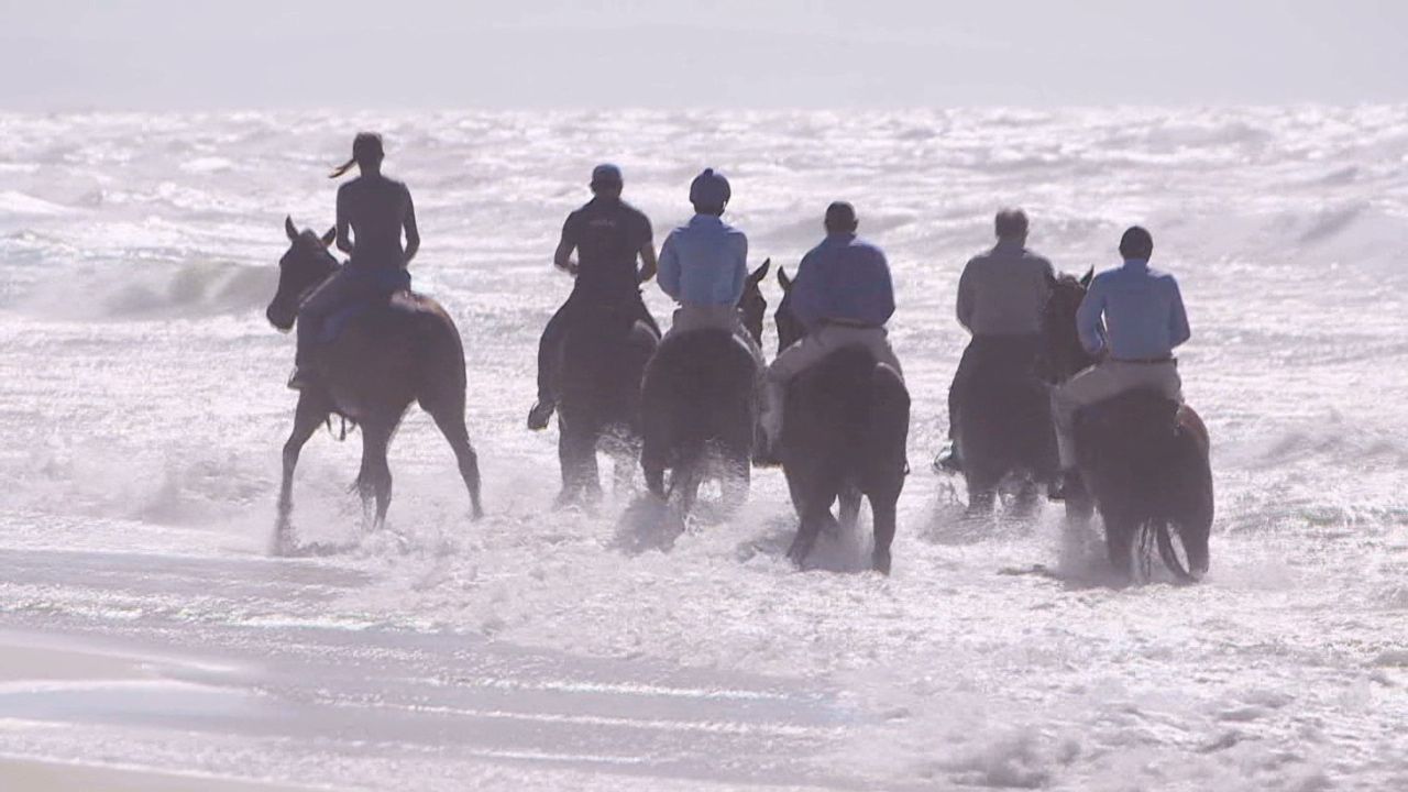 spc winning post_00024710.jpg
