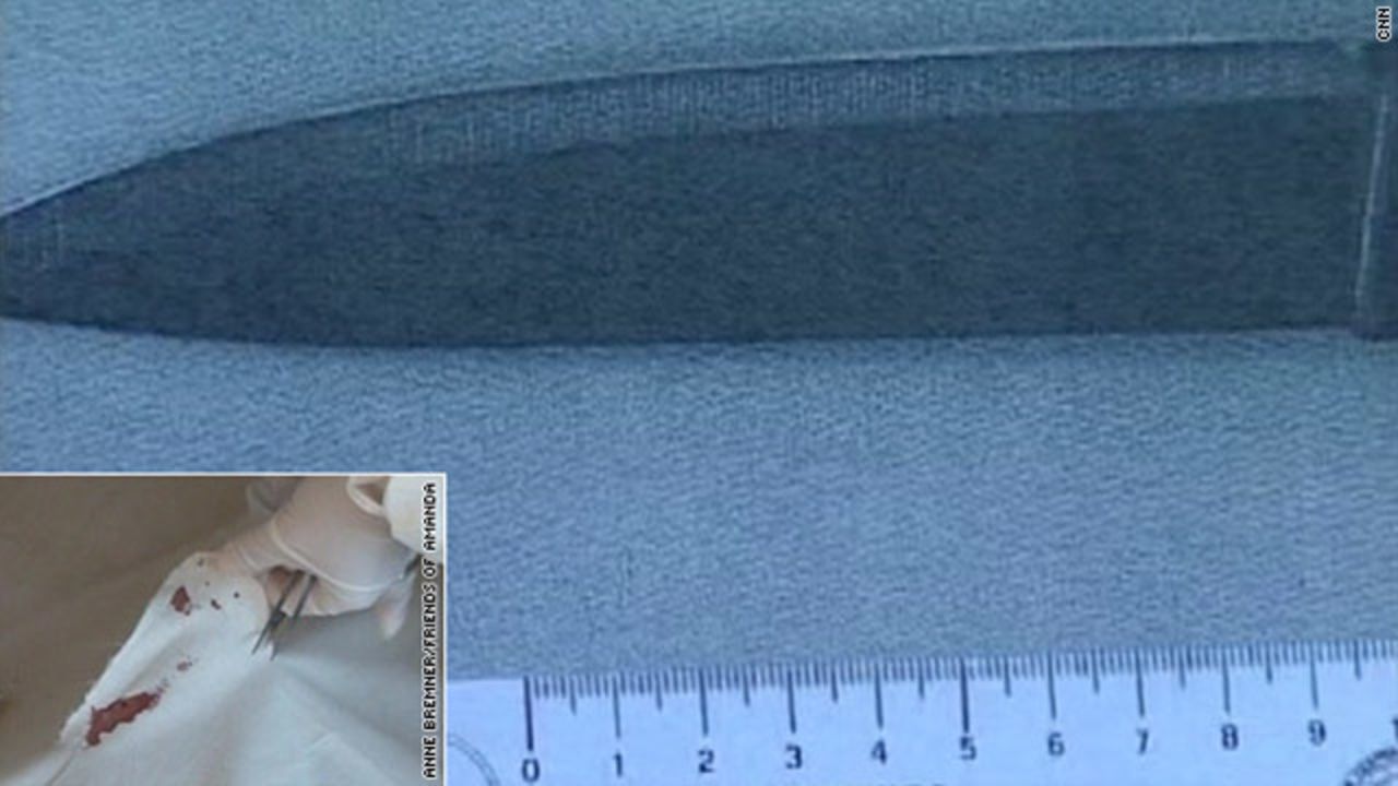 <strong>The knife: </strong>The prosecution in 2009 said that a knife found in Raffaele Sollecito's house has the DNA of Amanda Knox on the handle and the DNA of victim Meredith Kercher on the blade, suggesting it's the murder weapon. The defense said the knife doesn't match the shape and size of wounds on Kercher's body or an outline of the knife left on her bed. The defense also presented experts who said DNA on the blade was too small to be definitive.