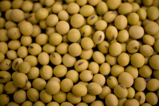 Farmers have a long history of cross-breeding plants. However, once it was understood how to splice DNA and alter it in a plant, the technology was used to enhance certain traits in crops, making them more resistant to some pests and fortifying them with more nutrients. The first genetically modified food approved for human consumption by the Food and Drug Administration was the Flavr Savr tomato in 1994. It was modified to not get quickly squishy and thus survive transport with flavor and texture in tact. Soybeans are one of the most commonly modified plants. Today, the FDA is considering whether to approve genetically modified salmon, which can grow twice as fast as their nonmodified brethren.