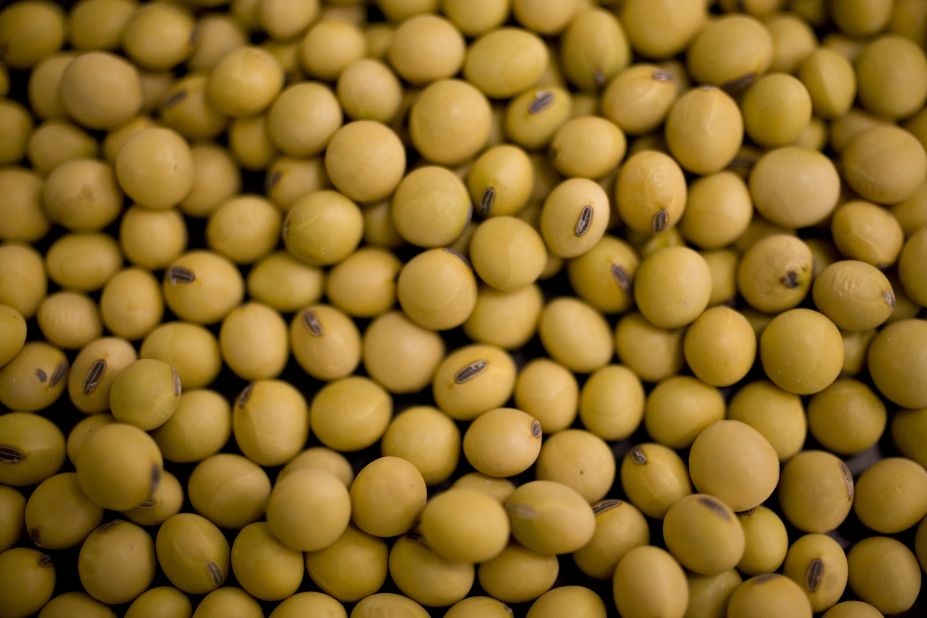 There is no consensus in the scientific community that GMOs are safe, <a href="http://www.cnn.com/2014/02/03/opinion/schubert-gmo-labeling/">says David Schubert at the Salk Institute for Biological Studies</a>. Seen here are  soybean seeds from a Monsanto lab.  