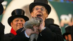 Punxsutawney Phil is held by Ron Ploucha after emerging from his burrow on Gobblers Knob in Punxsutawney, Pa., to see his shadow and forecast six more weeks of winter weather Sunday, Feb. 2, 2014.  (AP Photo/Gene J. Puskar)
