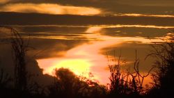 spc inside africa kavango zambezi transfrontier c_00000000.jpg