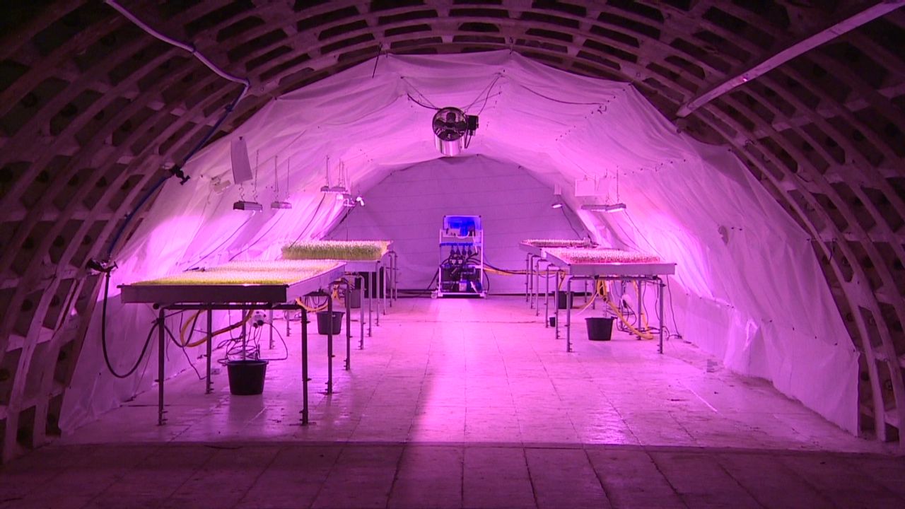 In more recent times, disused tunnels have been transformed to host the likes of hydroponic farms.