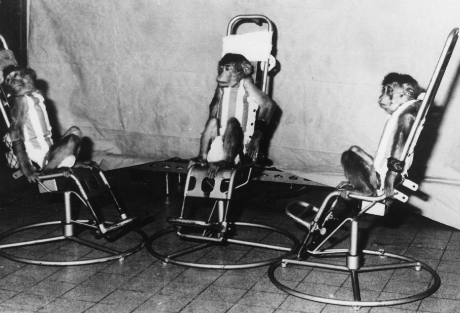 Some of the first space monkeys were trained at Sochi. Lucky them.