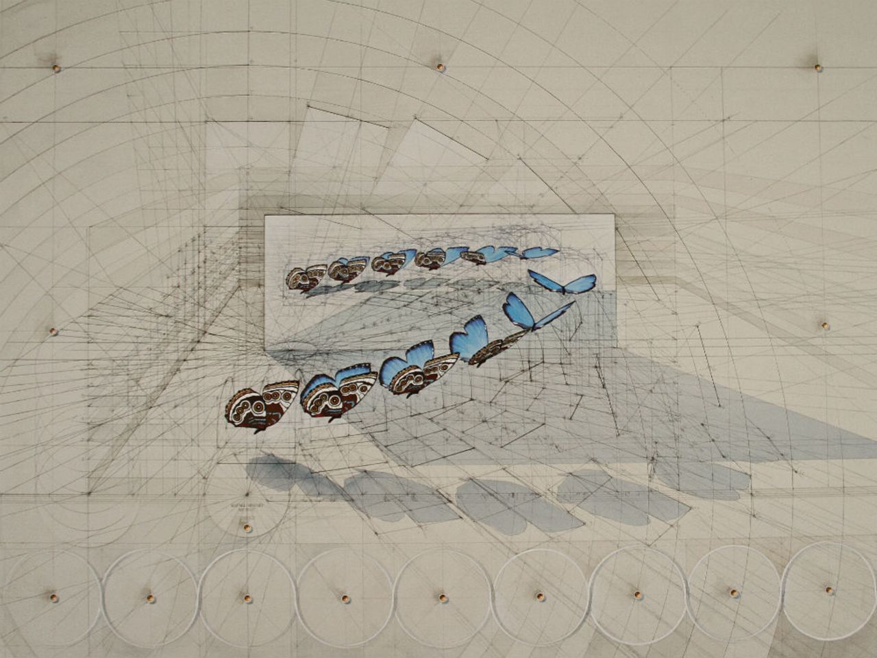 Araujo begins many of his drawings by creating a scaffolding, which helps guide his lines.