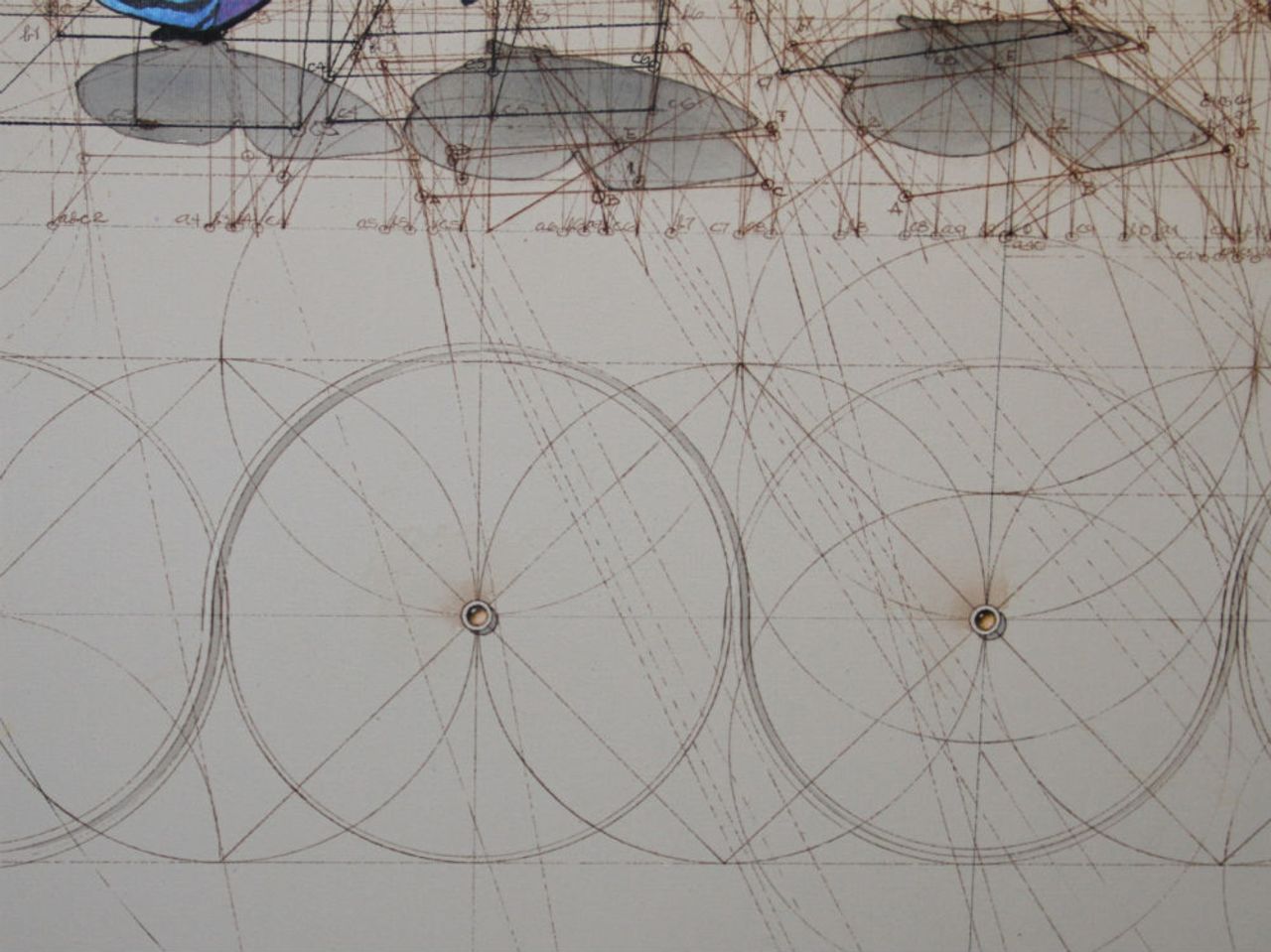 Araujo says that when he was young he loved three-dimensional drawings, and liked to find out ways to locate dots in the space. 