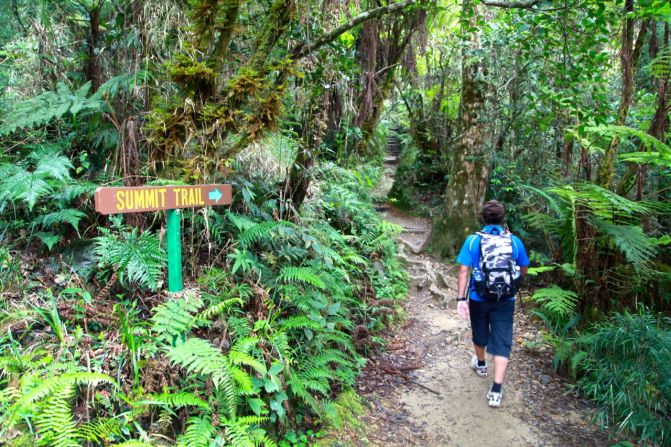 El día uno de la excursión a la cima del Monte Kinabalu es una ascensión lenta y tranquila de cinco horas a través del bosque tropical de la montaña baja, a lo largo de seis kilómetros de peldaños tallados y reforzados.