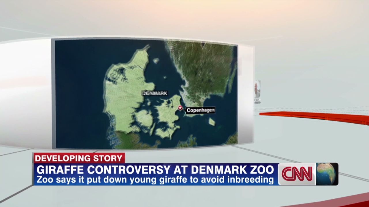 exp Giraffe Controversy in Copenhagen_00002001.jpg