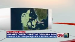 exp Giraffe Controversy in Copenhagen_00002001.jpg