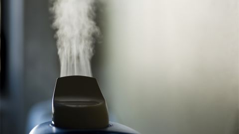 Health issues can arise from use of humidifiers containing mold or mildew, experts say.