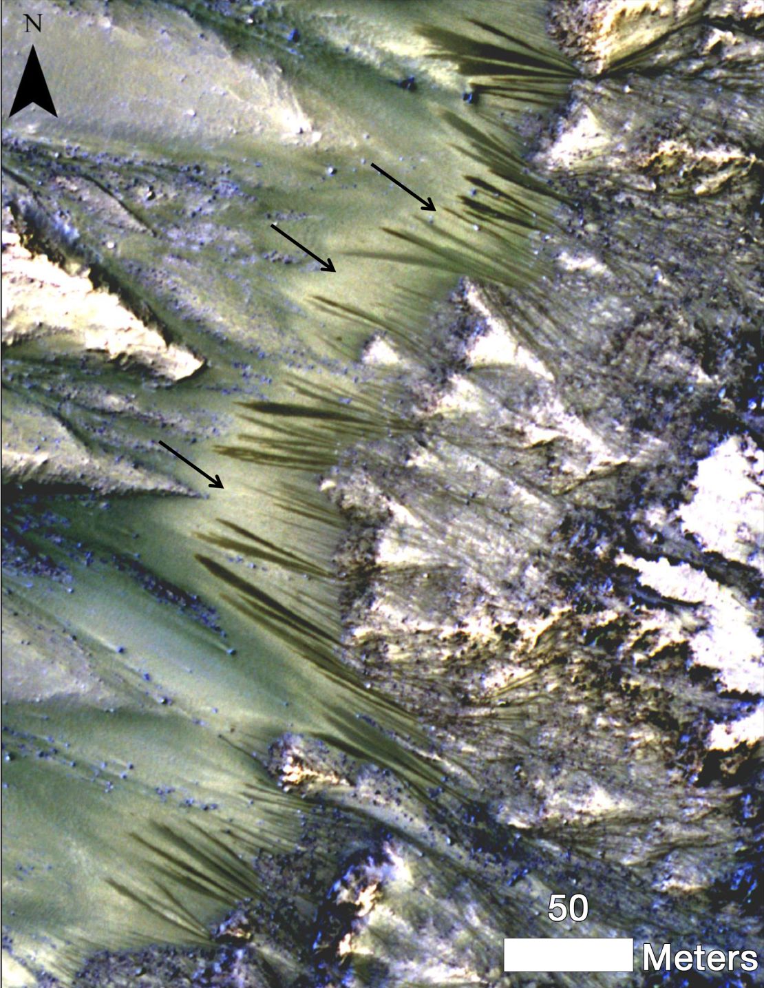 Arrows point to dark seasonal flows on Palikir Crater on Mars in this image from NASA's Mars Reconnaissance Orbiter.