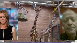 nr Danish Zoo defends giraffe killing_00014907.jpg