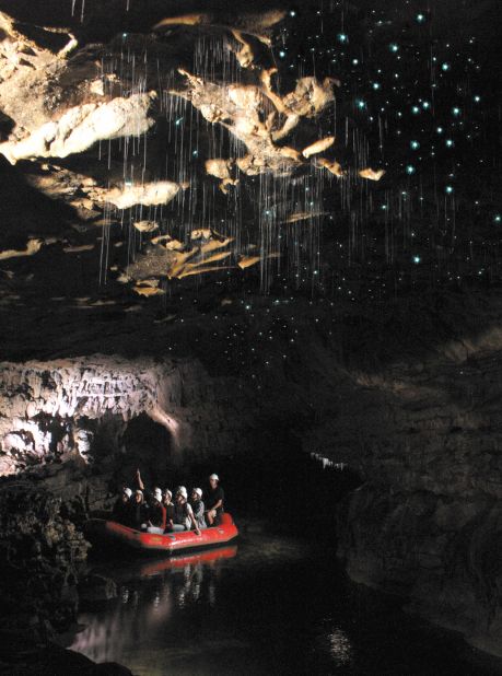 Take a boat ride to explore caves filled with New Zealand's indigenous glowworms. Their blue glow is caused by a chemical reaction in their abdomens. 