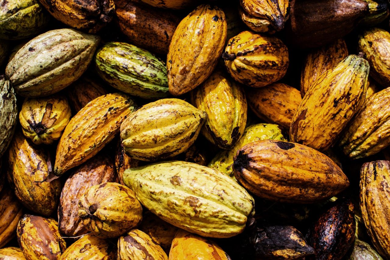 More than a third of the world's cocoa is grown in the Ivory Coast; the cocoa industry directly supports about 3.5 million people in the West African country.