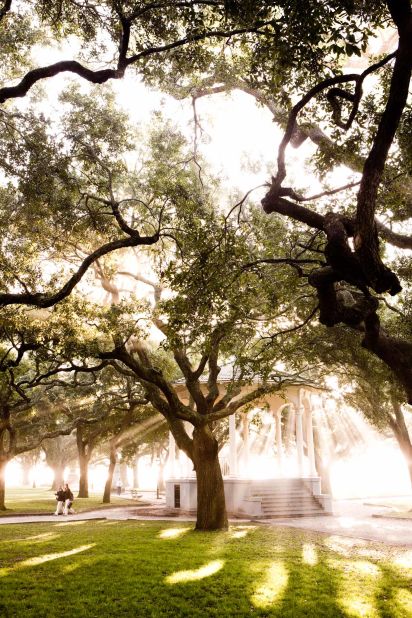 Historic neighborhoods, Lowcountry cuisine and a blossoming arts scene make Charleston a hit for lovers of the South. 